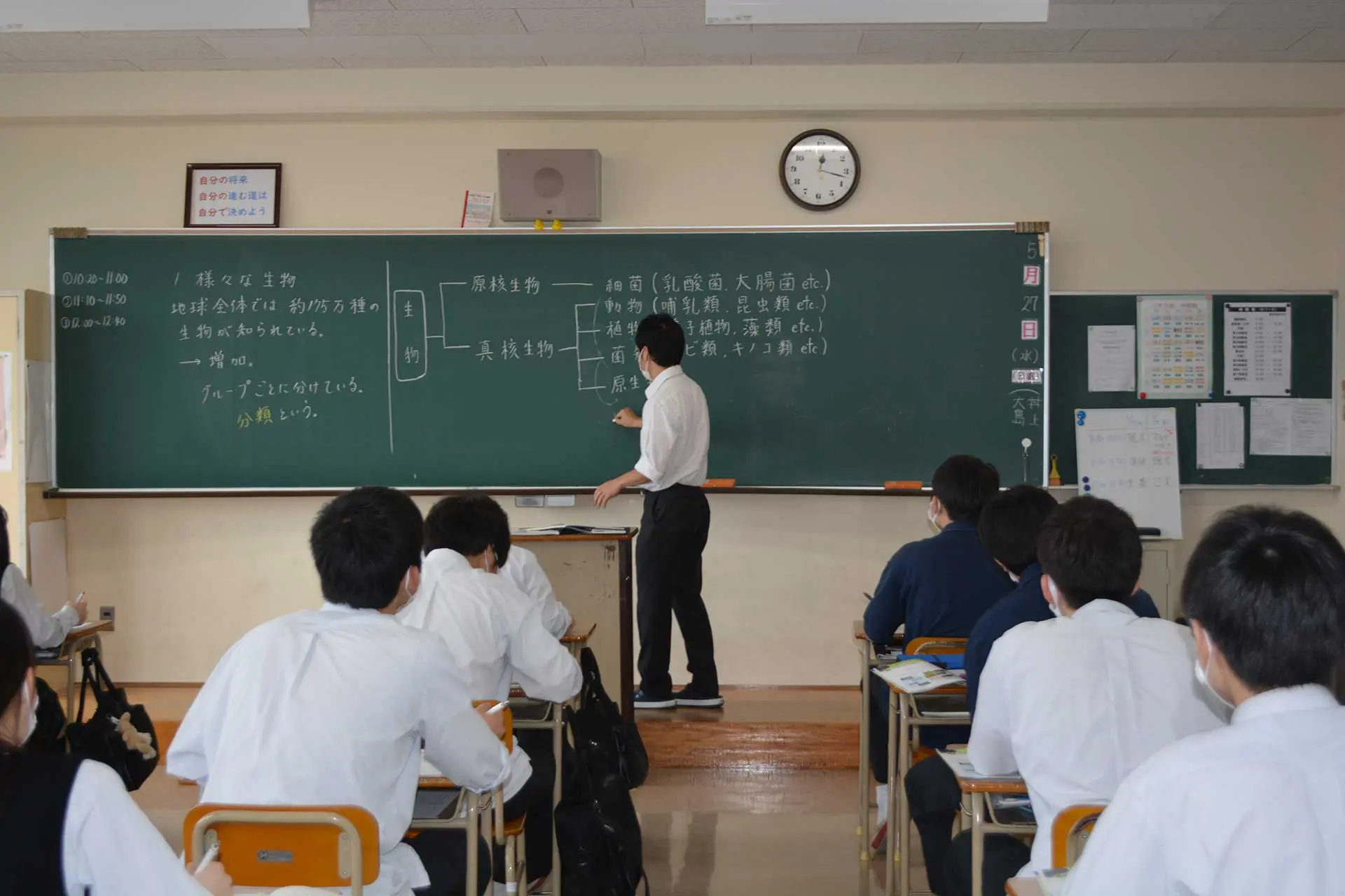 curriculum